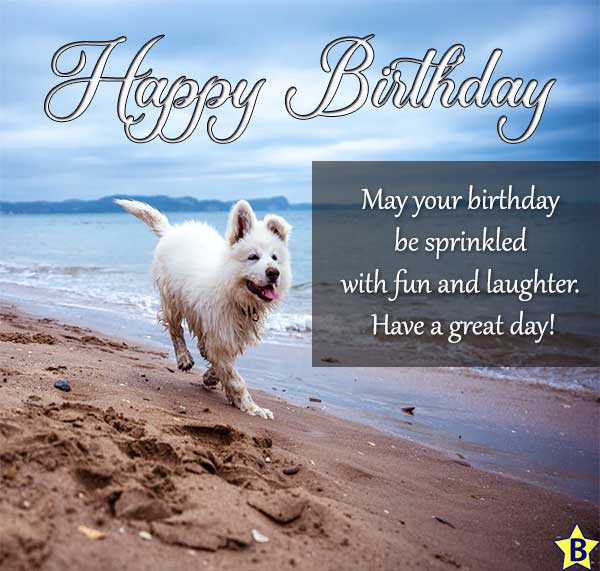 happy birthday images beach dog