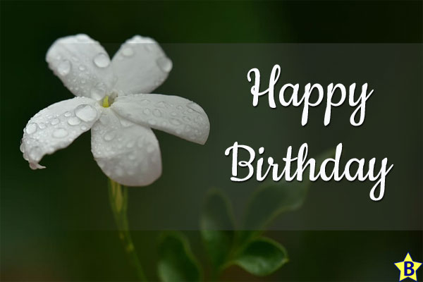 Happy Birthday Flowers Images jasmine