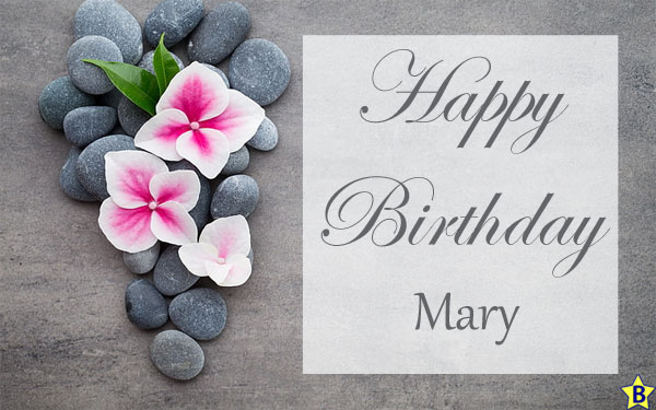 Happy Birthday mary Flowers Images