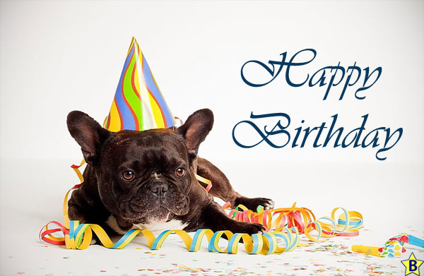 Happy Birthday Dog Images french-bull-dog