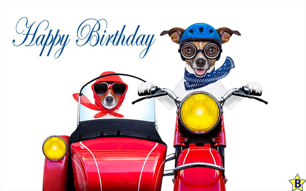 Happy Birthday Dog Images friends forever