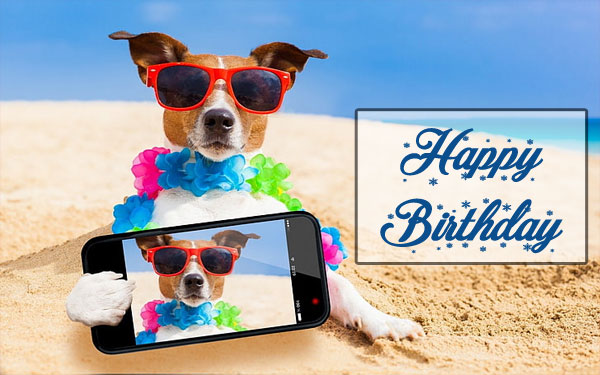 Happy Birthday Dog Images mobile selfie