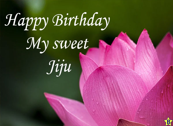 Happy Birthday Jiju my sweet images
