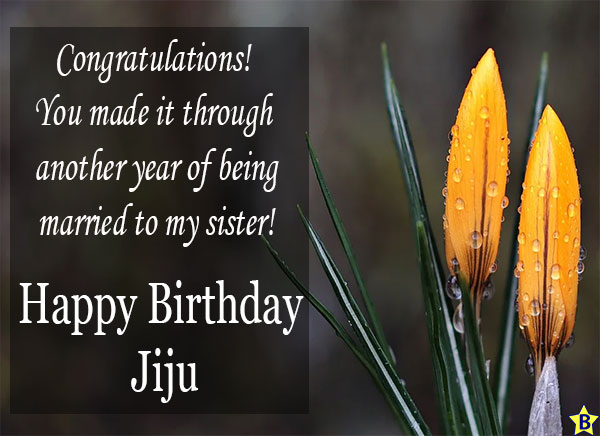 Happy Birthday Jiju pics