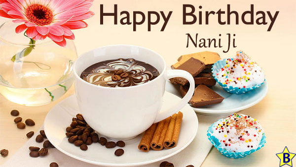 Happy Birthday Nani Ji blessings