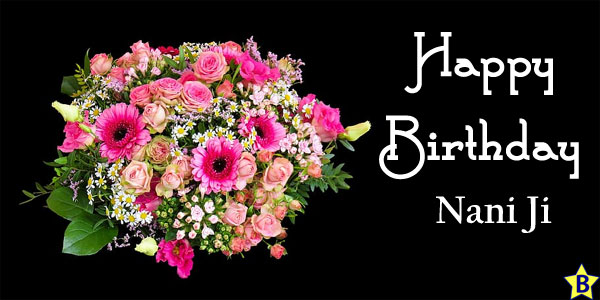 Happy Birthday Nani Ji images with flowers