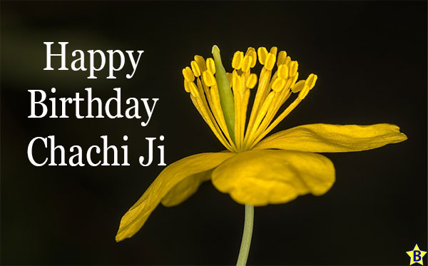 Happy birthday lovely Chachi ji