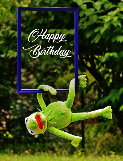 frame happy birthday frog images