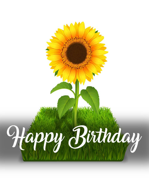 free happy birthday sunflower images
