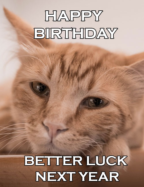 happy birthday coworker message