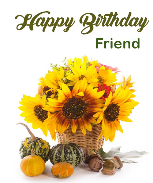 happy birthday friend sunflower images