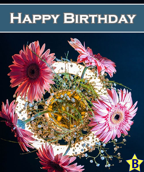 happy birthday gerber daisy images