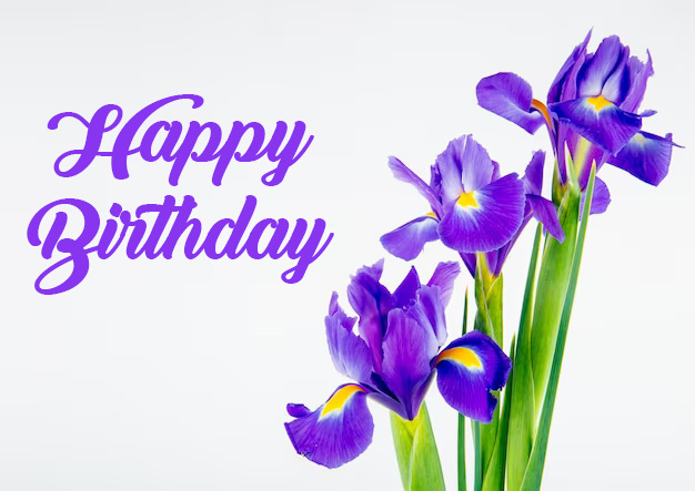 happy birthday iris