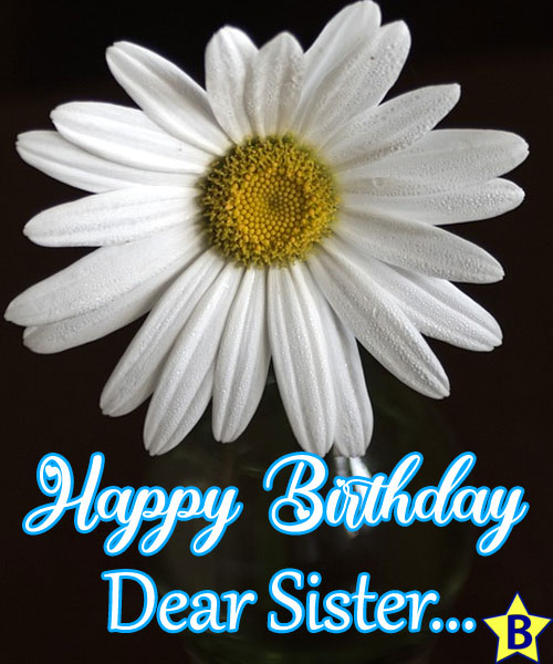 happy birthday sister daisy images