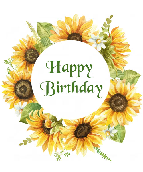 happy birthday sunflower card images