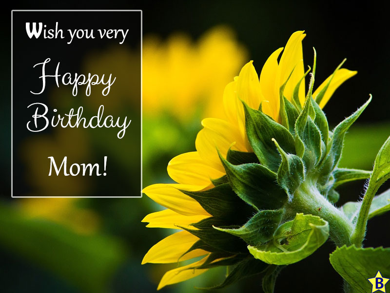 happy birthday mom yellow flowers
