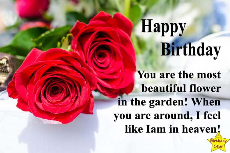 350+ Romantic Happy Birthday Quotes for My Love