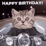A bike riding cat Happy birthday Gif