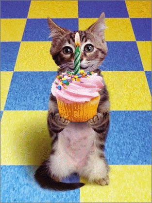 A cat holding cake in her hand happy birthday cat gif