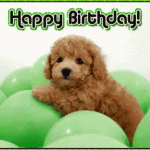 Green happy birthday dog gif
