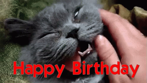 Happy birthday black cat gif