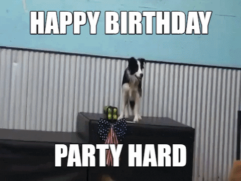 dog wishing happy birthday gif