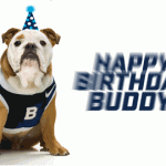 happy birthday dog animated gif