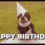 happy birthday dog gif with birthday cap