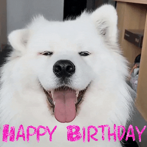 Dog Happy birthday friend gif