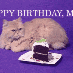 Happy birthday Mom Gif with cat and cake