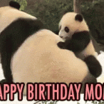 Panda and baby panda Happy birthday Mom Gif