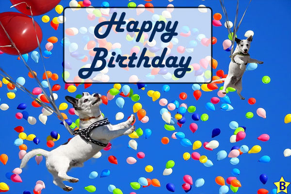 Happy Birthday Dog Images Free