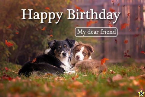 Happy Birthday Dog Images friends | Birthday Star