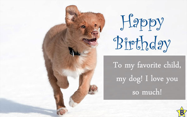 Happy Birthday Dog quotes