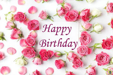 Happy Birthday Rose Images, Pictures, Wishes, Quotes