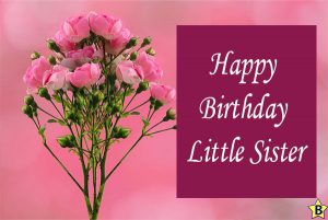 Happy Birthday Rose Images, Pictures, Wishes, Quotes
