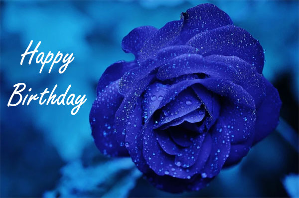 happy birthday blue rose images