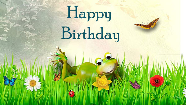 happy birthday froggy images