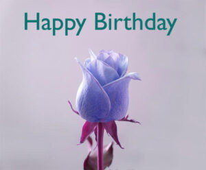 30+Most Beautiful Happy Birthday Purple Images