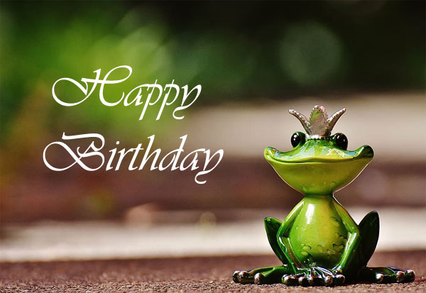 princess happy birthday frog images