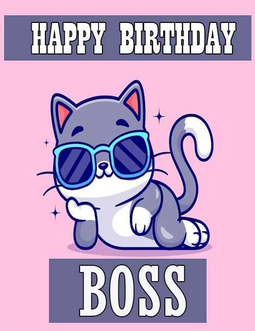 happy birthday boss meme cat