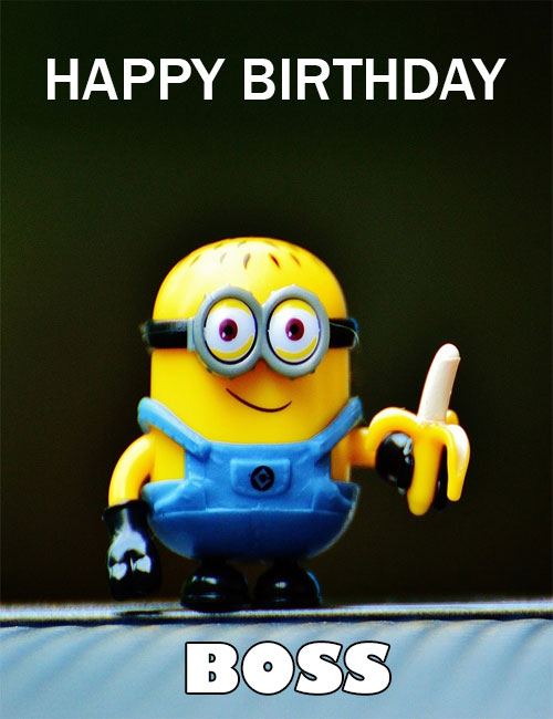 happy birthday boss meme minions