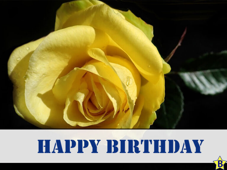 20 Happy Birthday Yellow Roses Images And Pics 1576