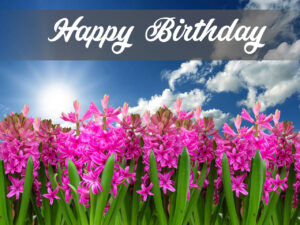 31+ Happy Birthday Flower Garden Images And Pictures