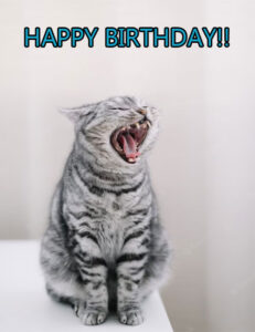 22 Most Funny Happy Birthday Cat Meme To Make You laugh