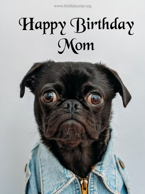 happy birthday mom meme pics