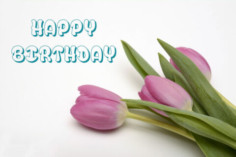 31+ Happy Birthday Tulips Images and Pictures