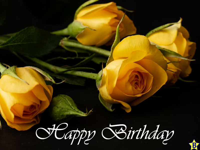 happy birthday yellow roses wallpaper images