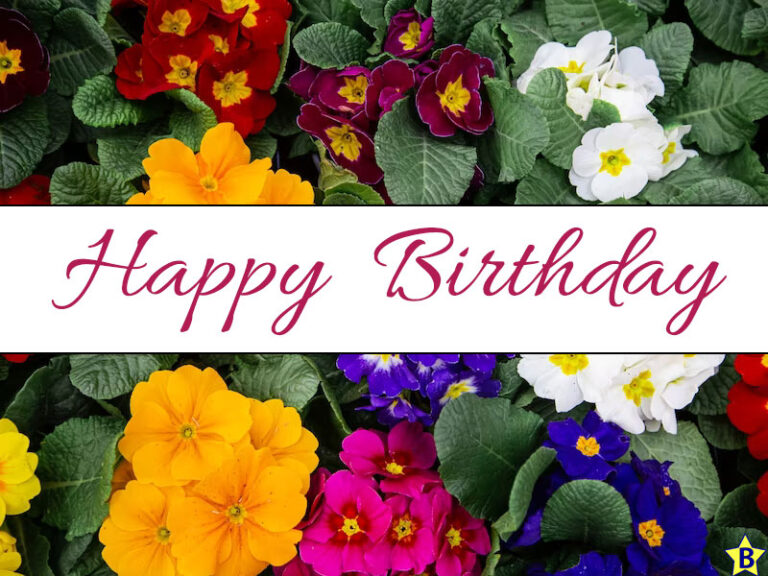 Happy Birthday Spring Flowers Images