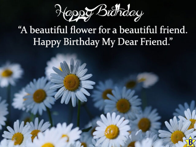 35+ Happy Birthday Friend Flowers Images and Pictures Free